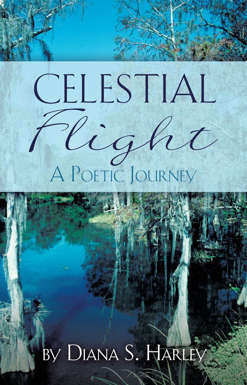 CELESTIAL FLIGHT