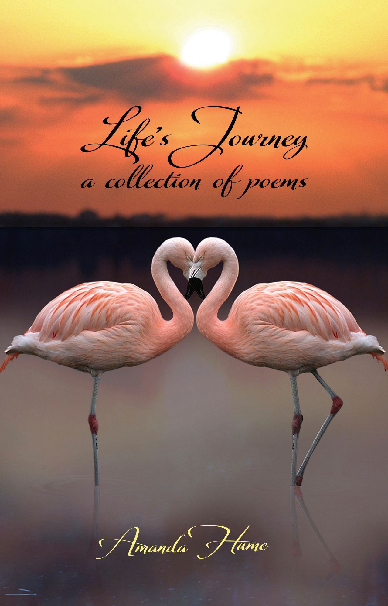 Life's Journey