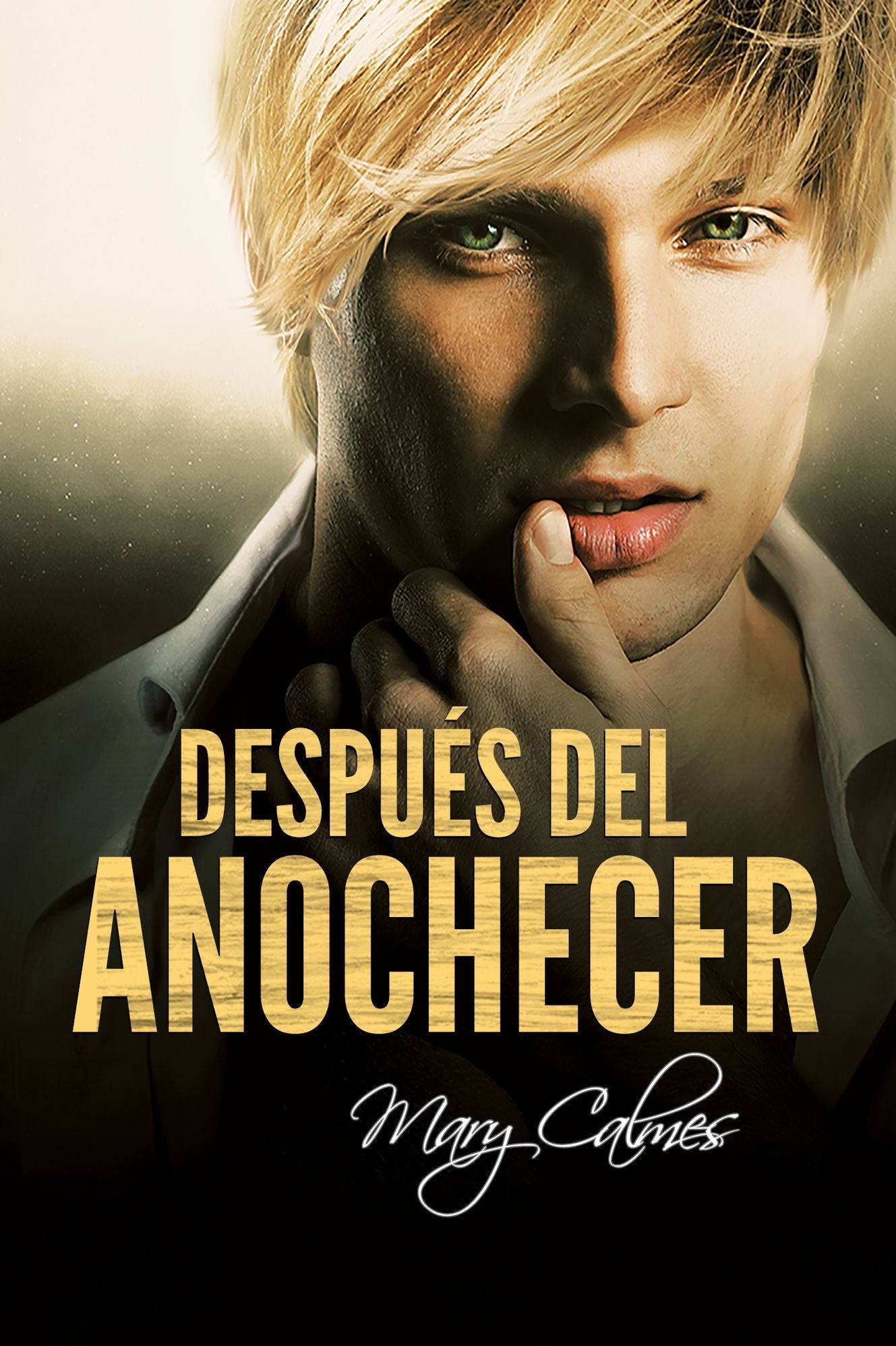 Despues del anochecer