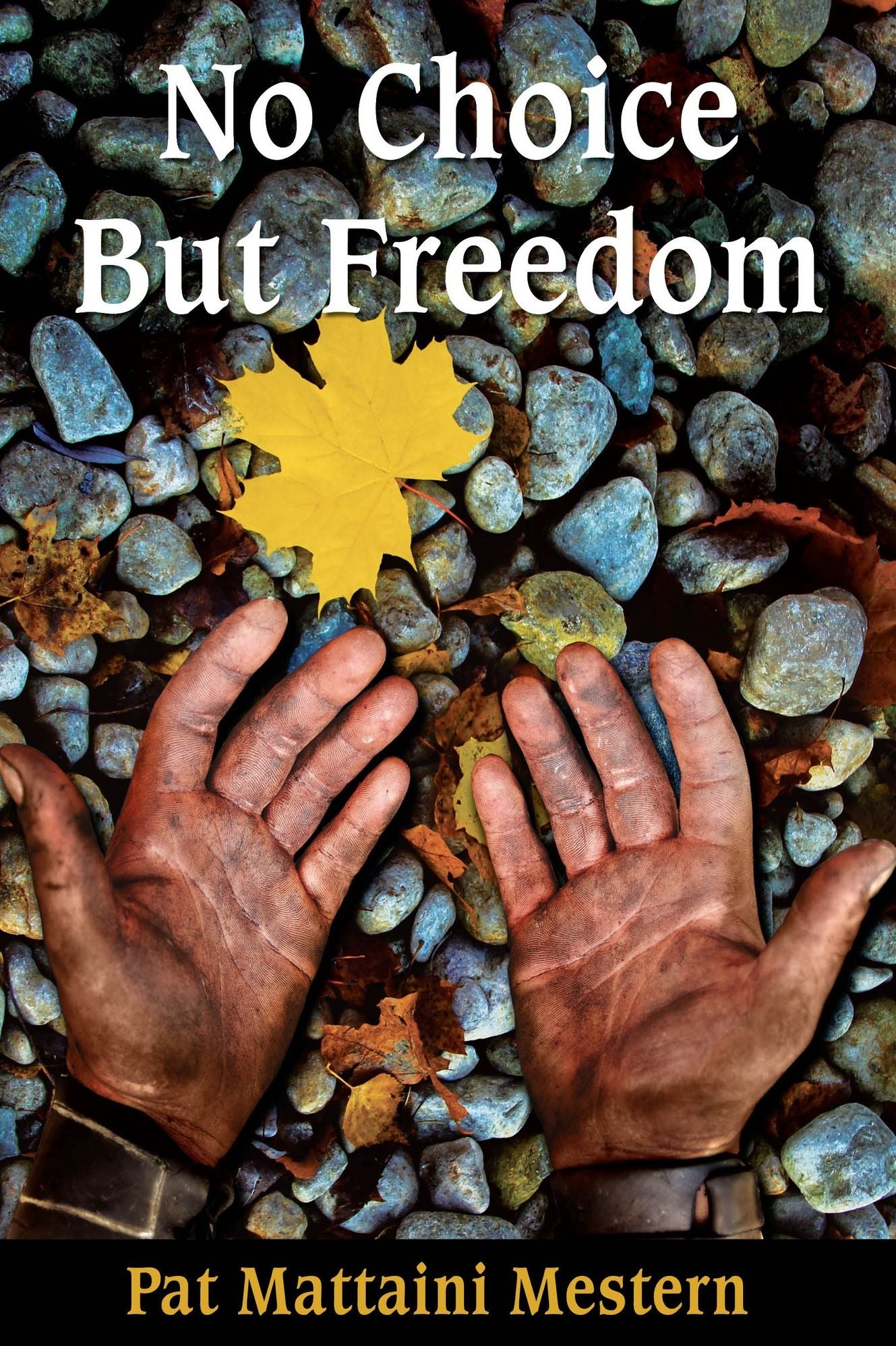 No Choice But Freedom: A Novel of Treachery and Triumph in Colonial America