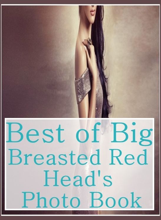 Erotica: XXX Teens Beach Watch Best of"Big Breasted Red Head's Photo Book" ( sex, porn, fetish, bondage, oral, anal, ebony, hentai, domination, erotic photography, erotic sex stories, adult, xxx, shemale, voyeur, erotic, blowjob )