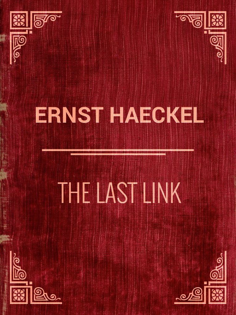 The Last Link