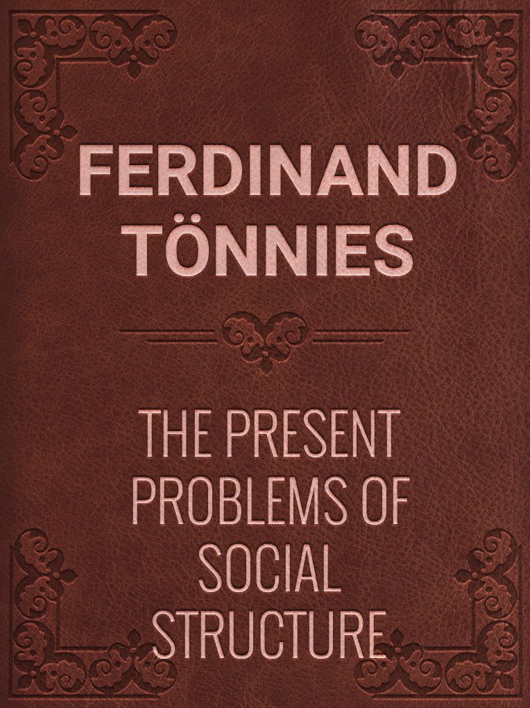 The Present Problems of Social Structure