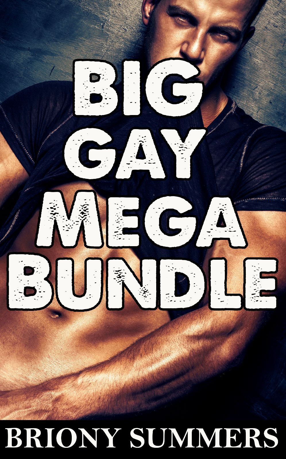 Big Gay Mega Bundle (10 Story Collection)