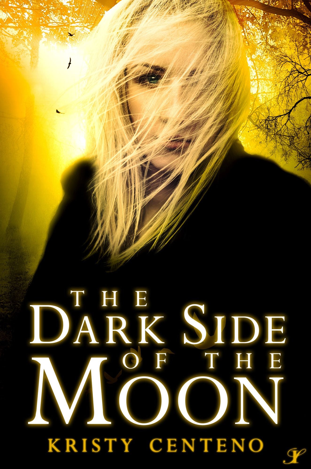 The Dark Side of the Moon