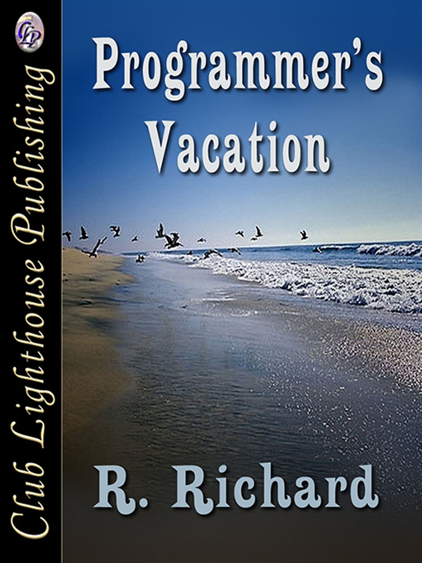 Programmer's Vacation
