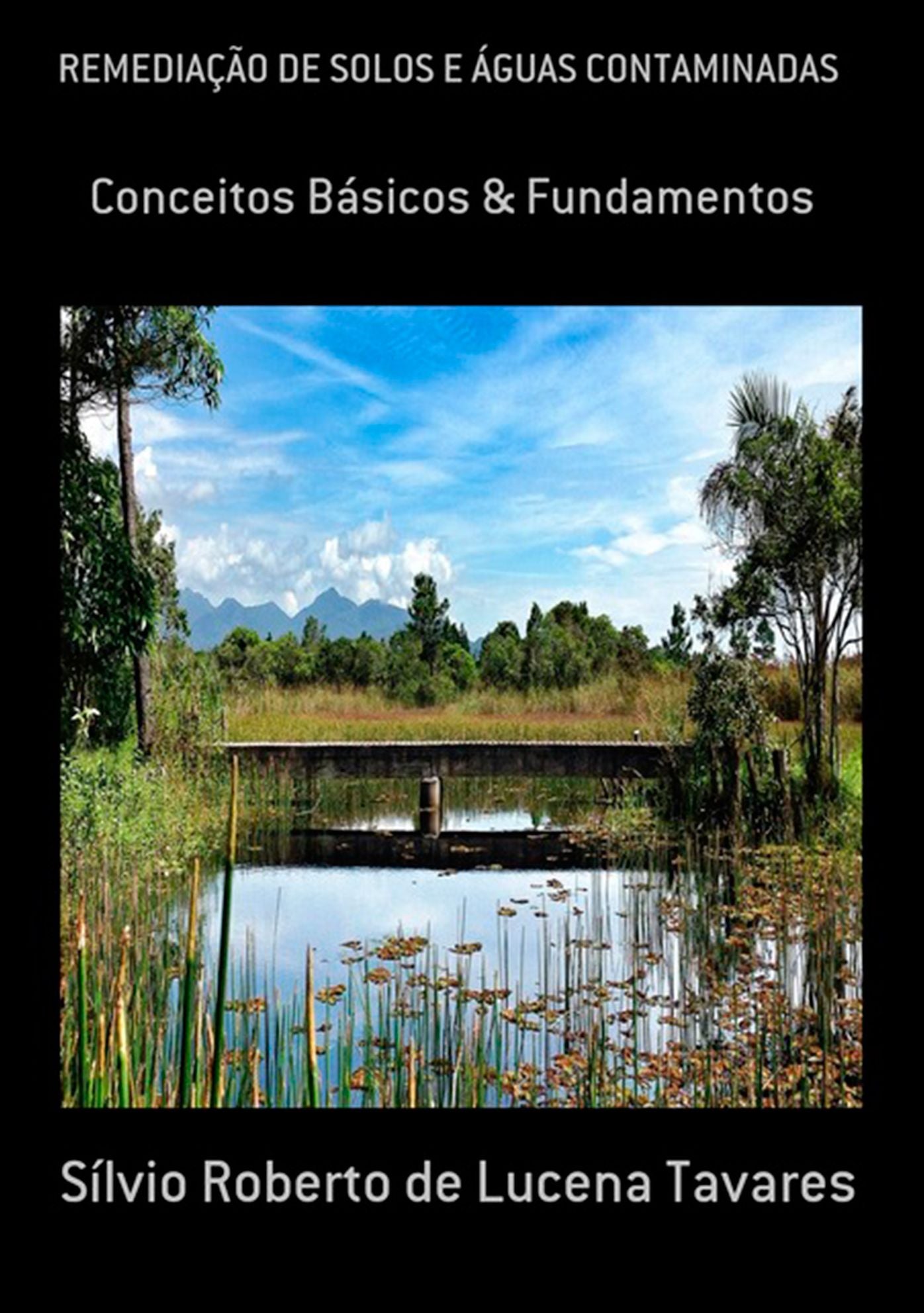 RemediaCAo De Solos E Aguas Contaminadas