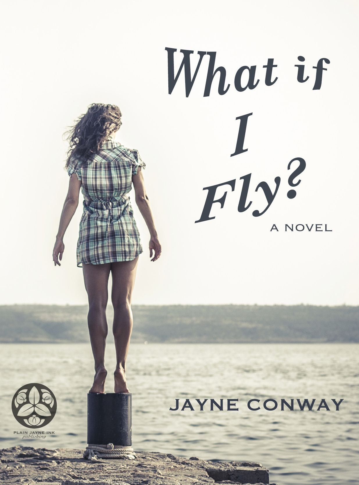 What if I Fly?