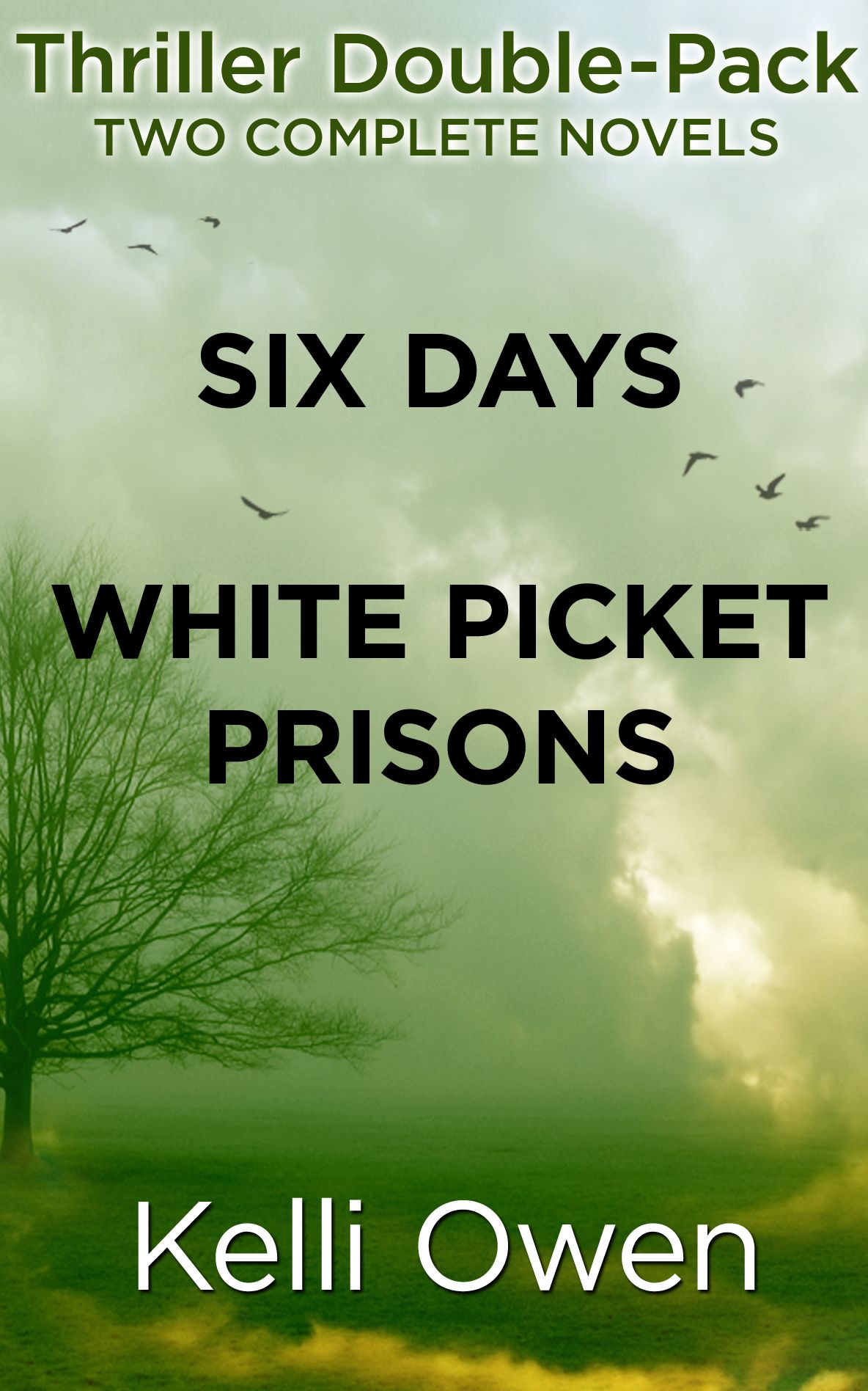 Thriller Double-Pack: Six Days and White Picket Prisons