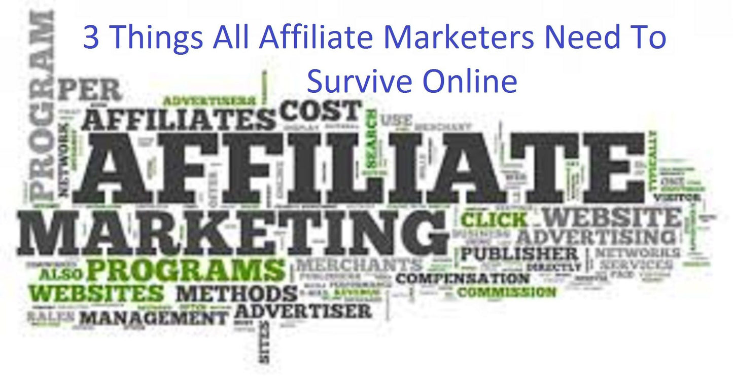 3 Things All Affiliate Marketers Need To Survive Online