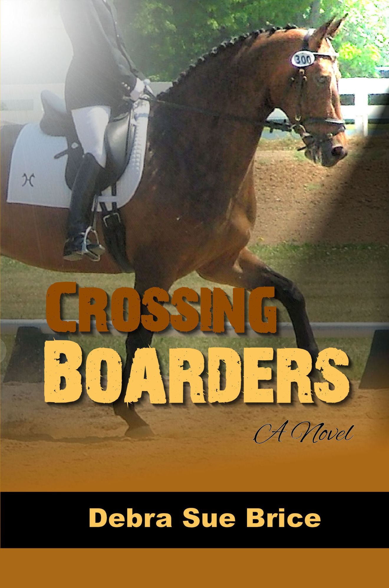 Crossing Boarders (Christian Fiction)