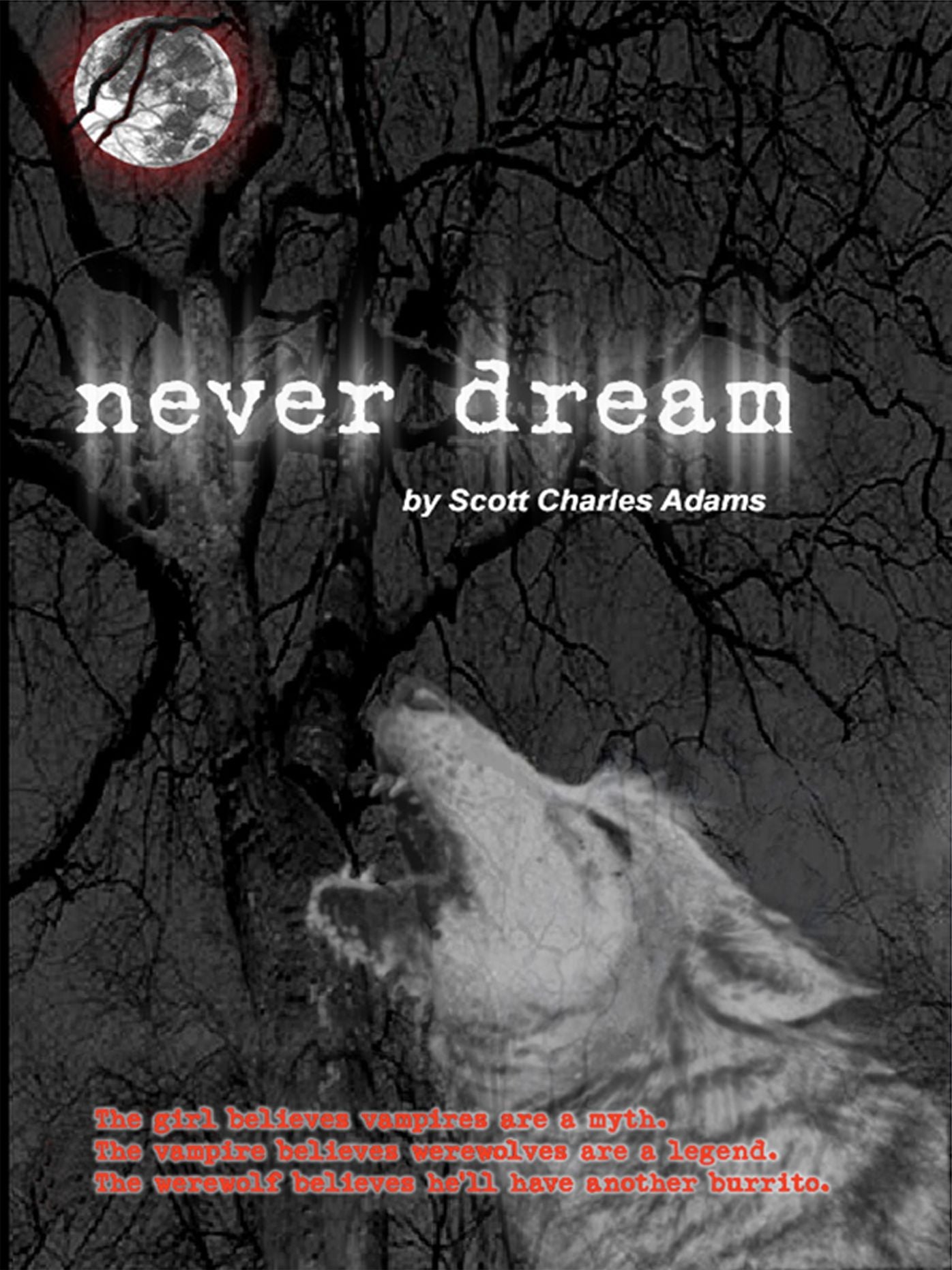Never Dream