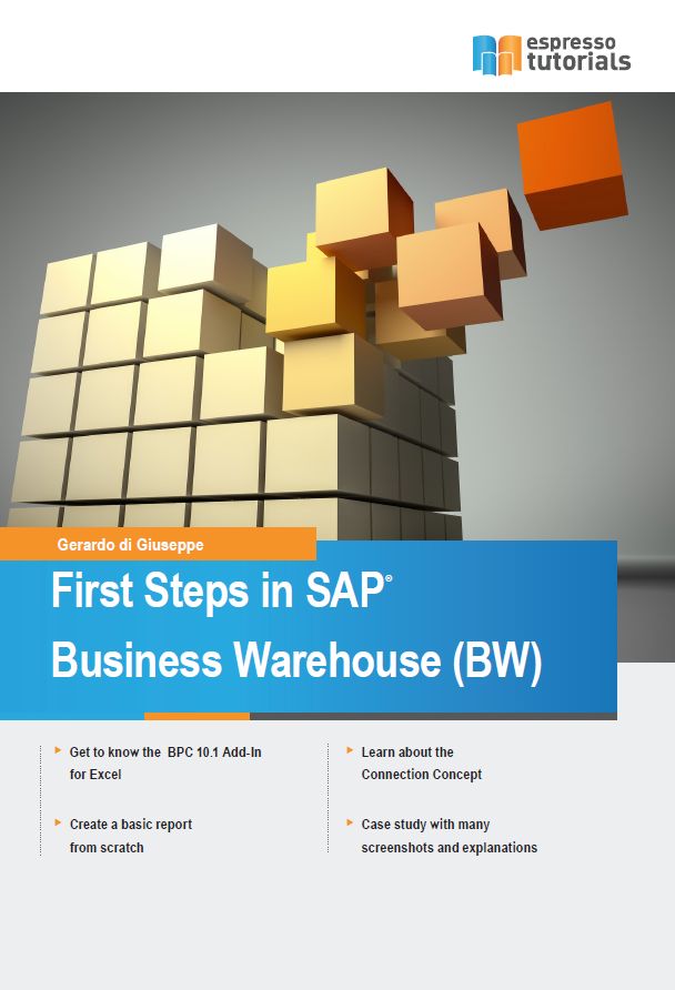 First Steps in SAP Business Warehouse (BW)