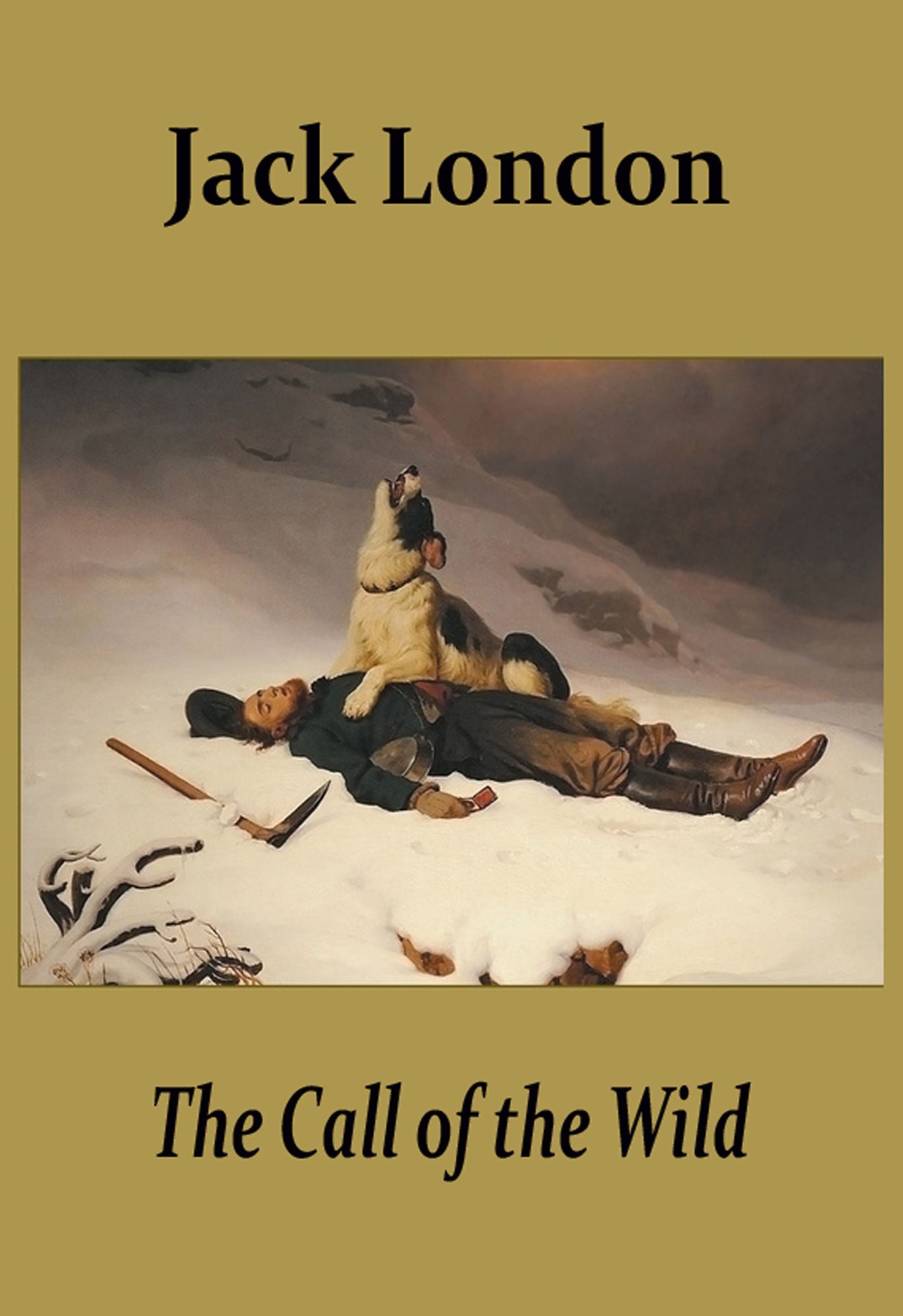The Call of the Wild (illustrated)