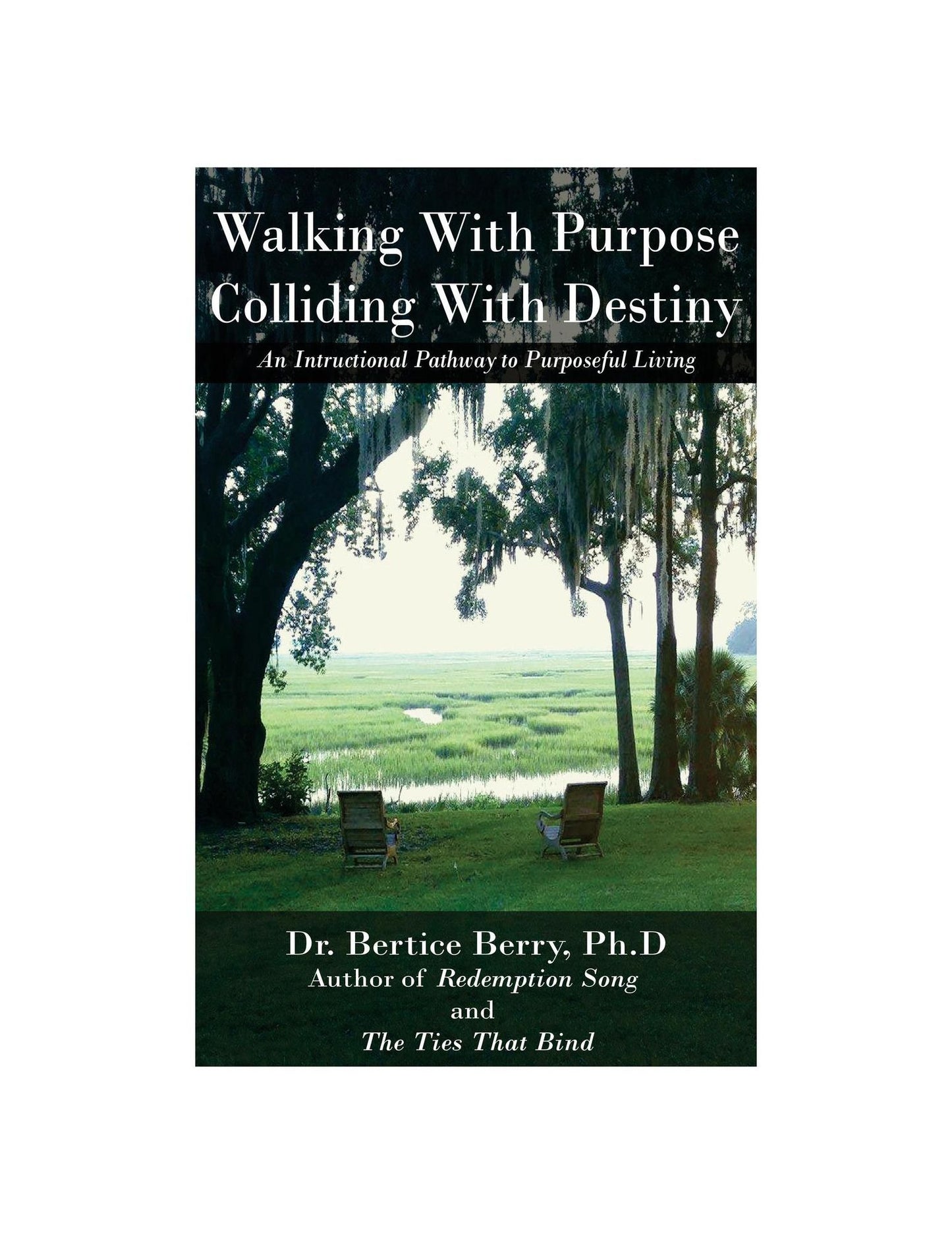 Walking With Purpose, Colliding With Destiny