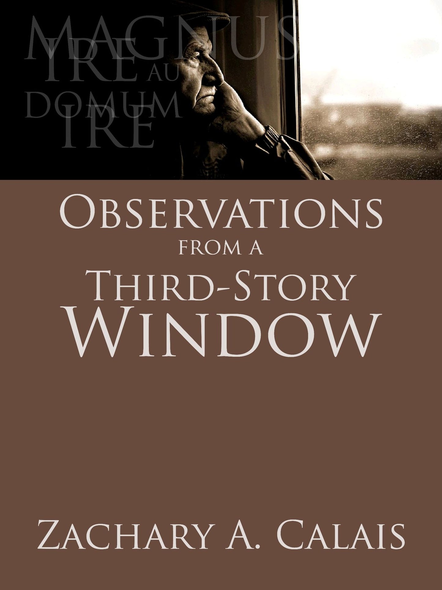 Observations from a Third-Story Window & Other Stories