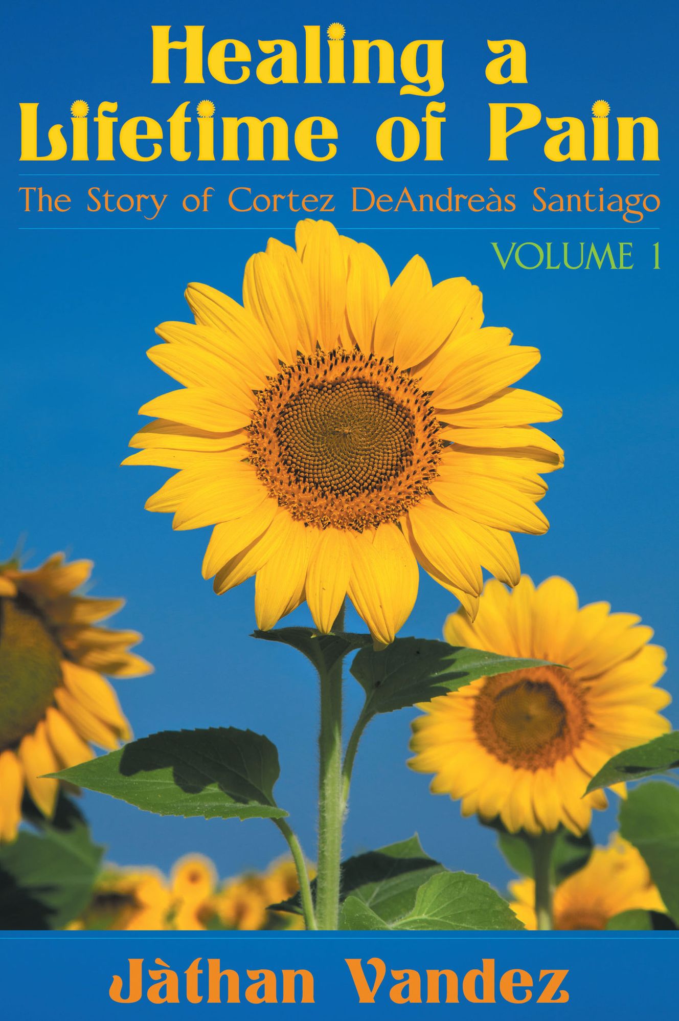 Healing a Lifetime of Pain: The Story of Cortez DeAndreas Santiago: Volume 1