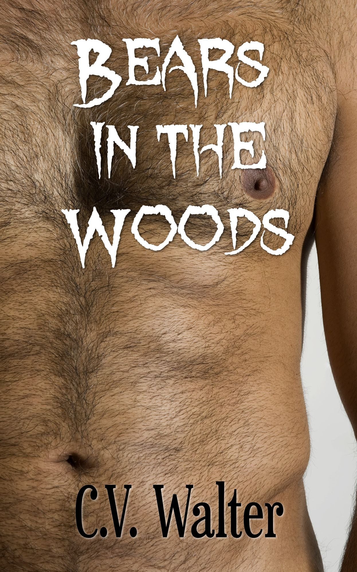 Bears in the Woods