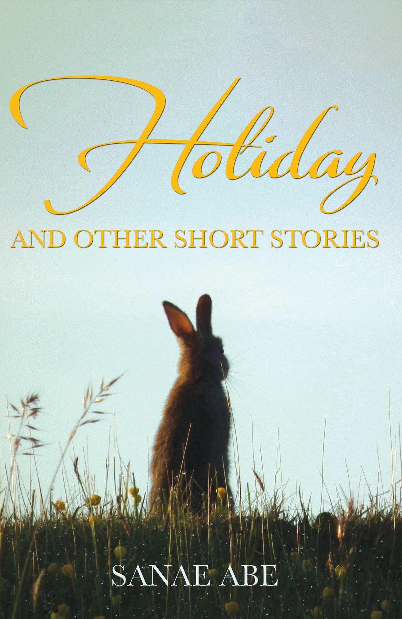 Holiday and Other Short Stories