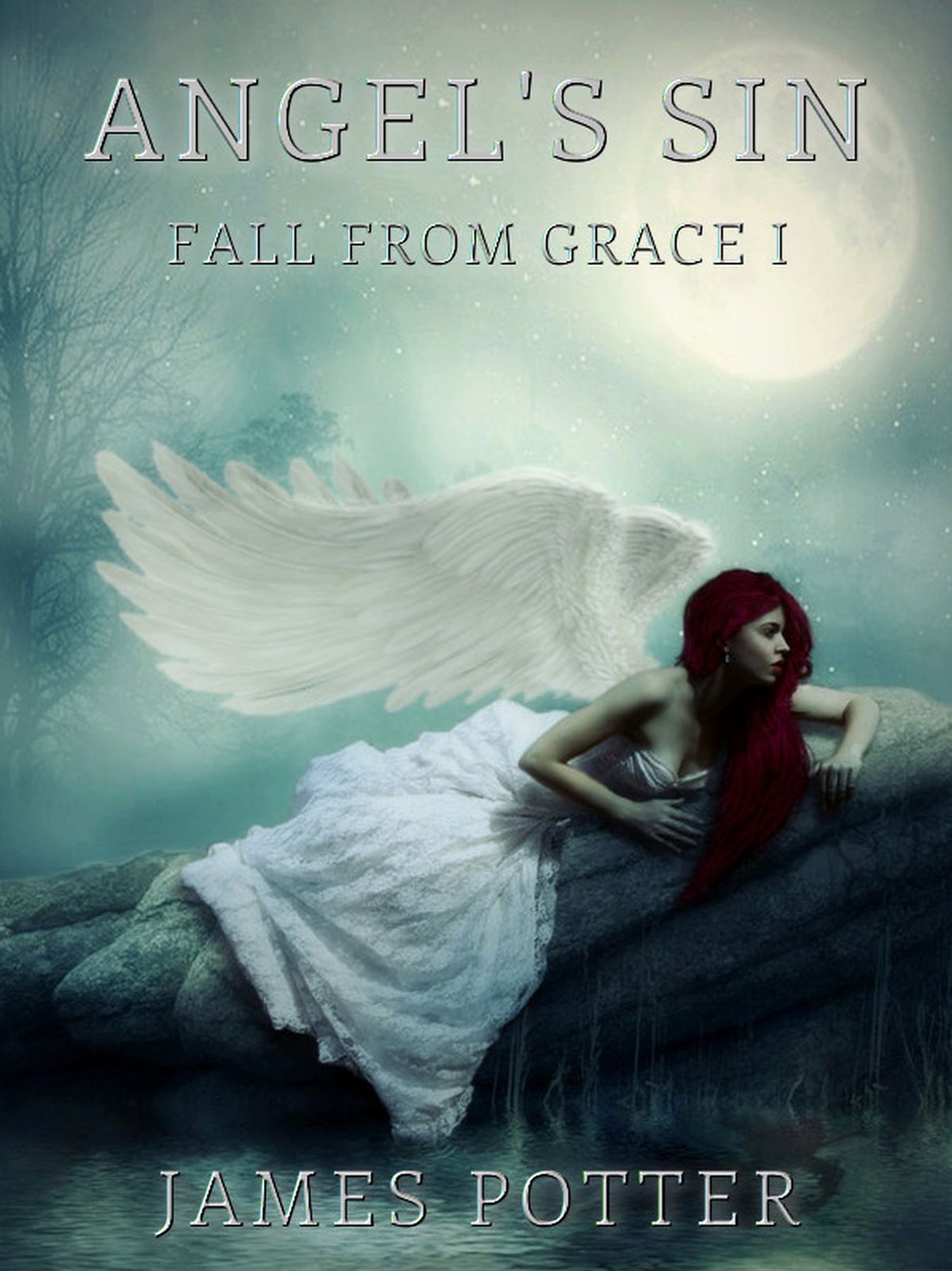 Angel's Sin (Fall From Grace I)
