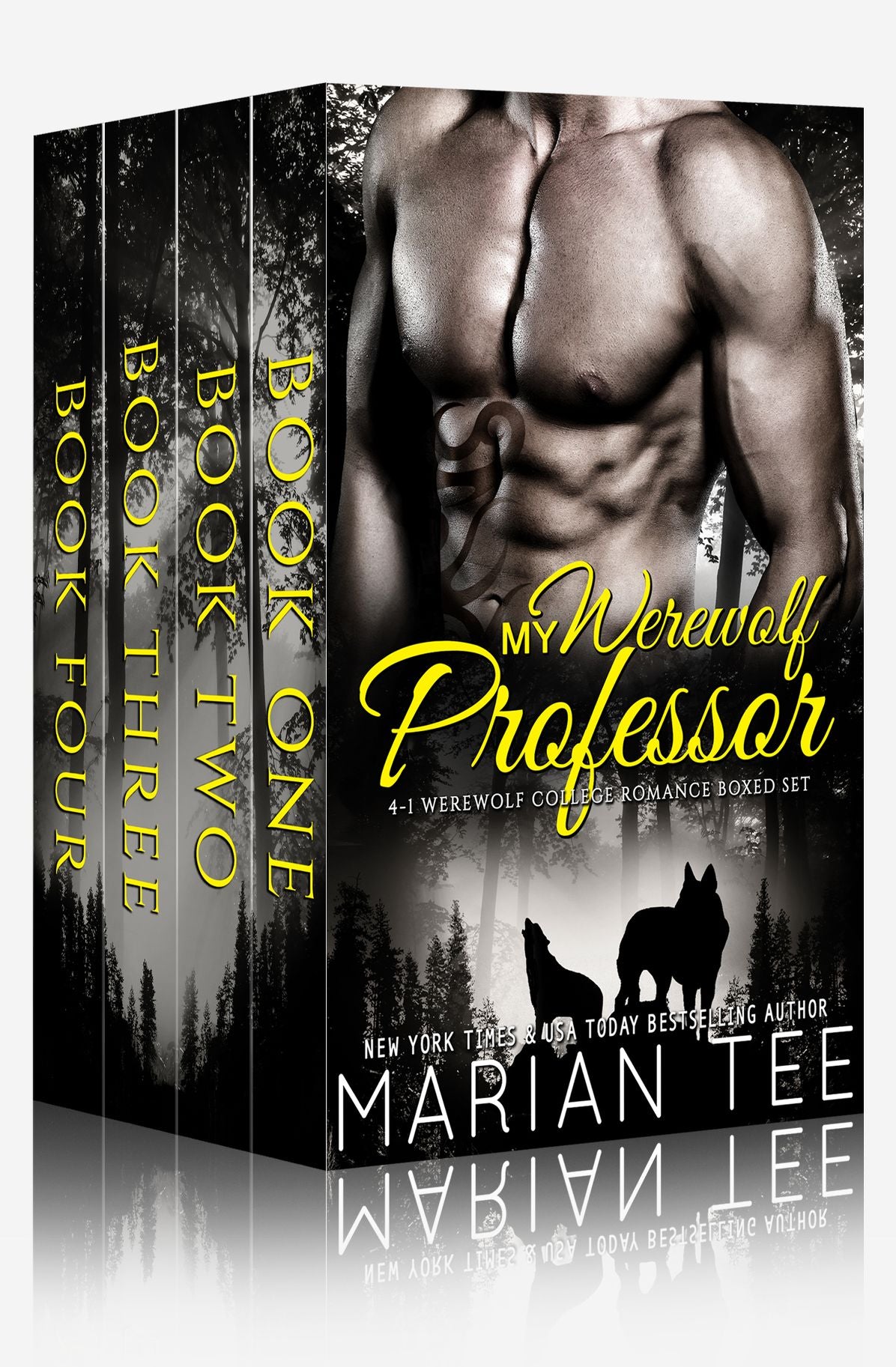 My Werewolf Professor: 4 in 1 Werewolf College Romance Boxed Set