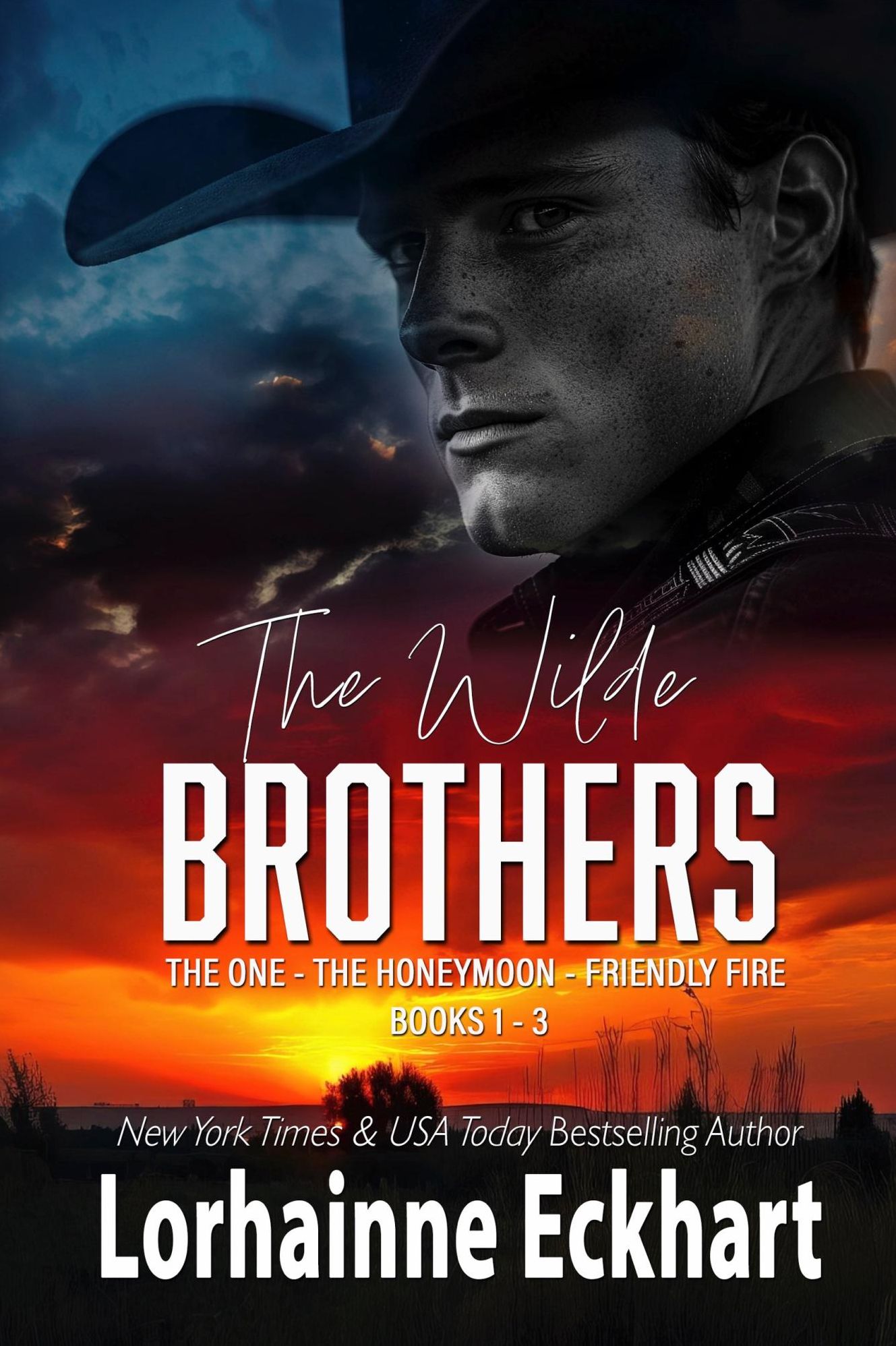 The Wilde Brothers The Complete Collection