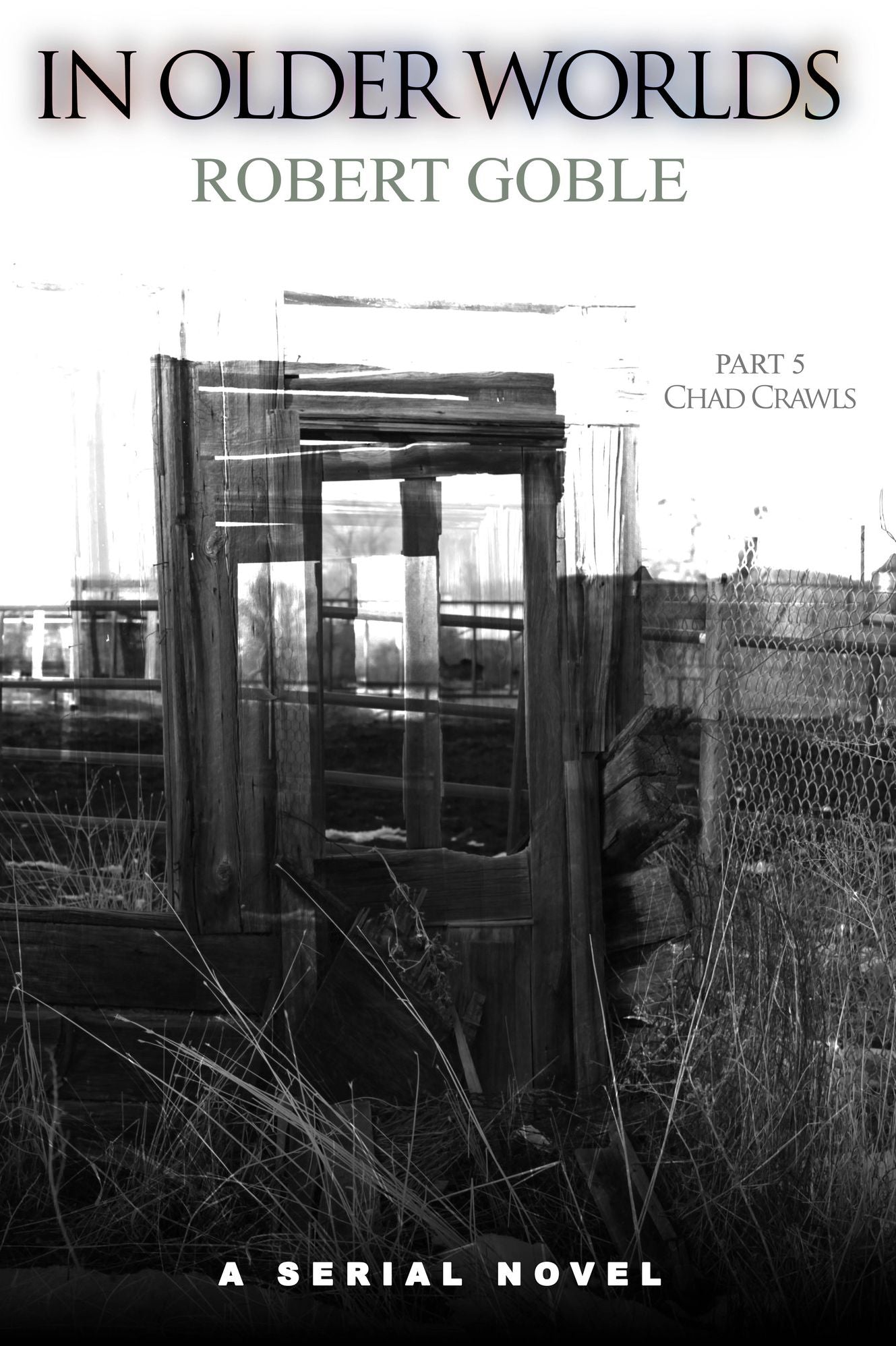 In Older Worlds: Chad Crawls (A Serial Novel, Part V)