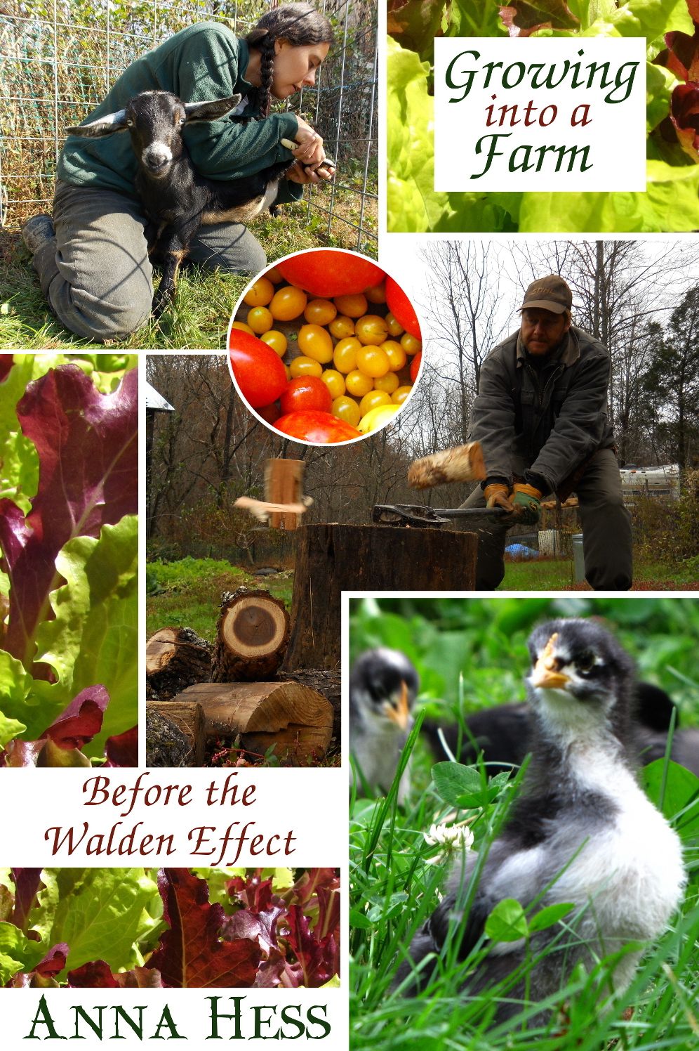 Growing into a Farm: Before the Walden Effect