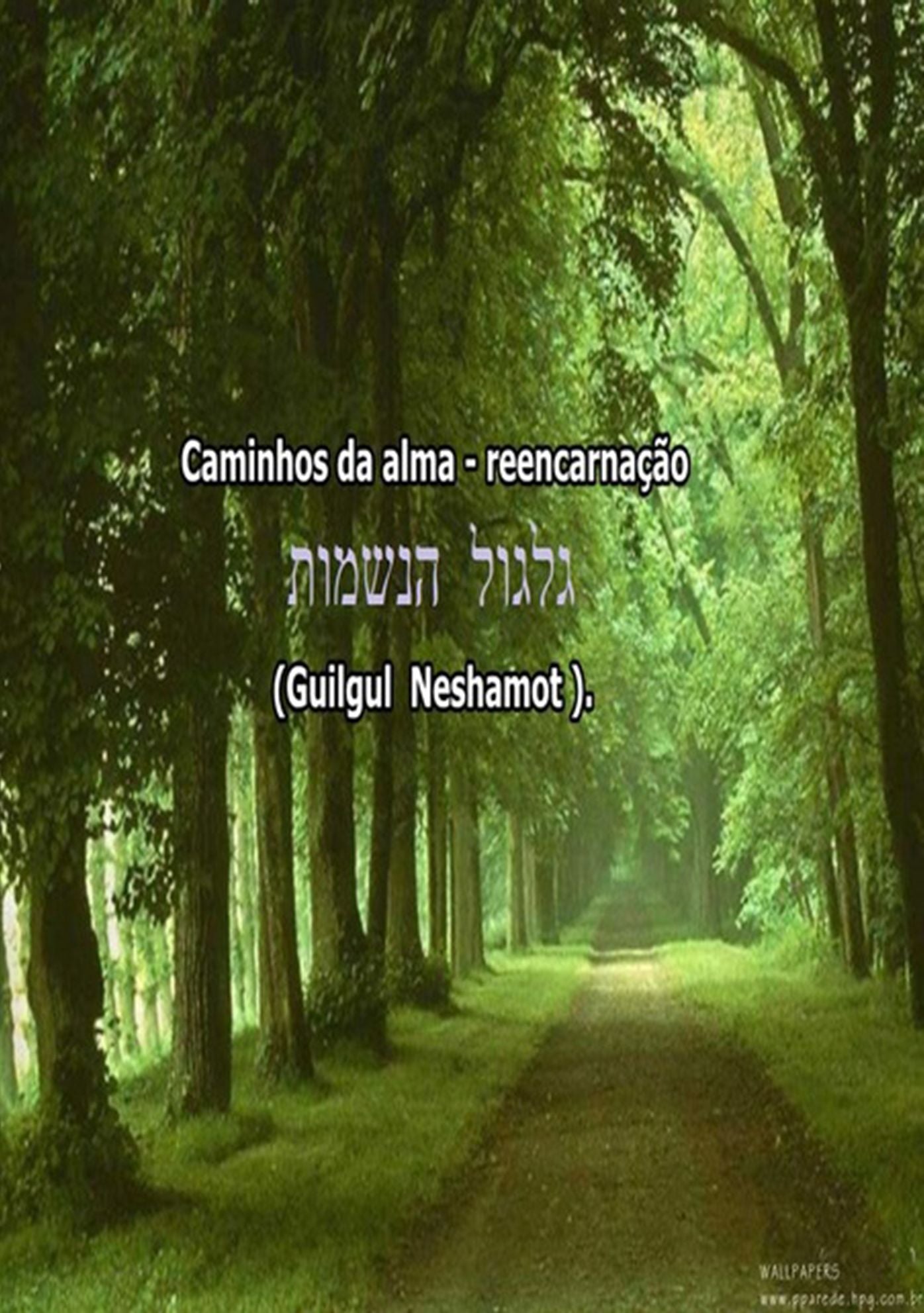 Caminhos Da Alma Reencarnacao