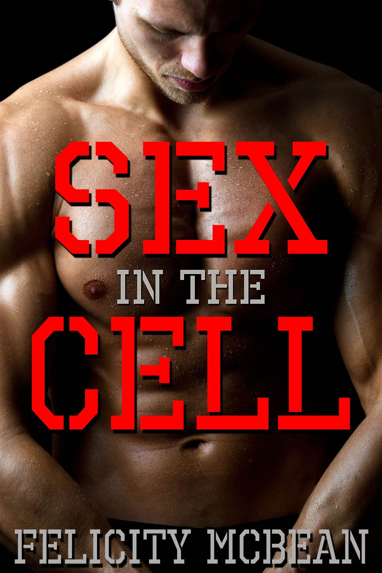 Sex in the Cell (Gay Prison Erotica)