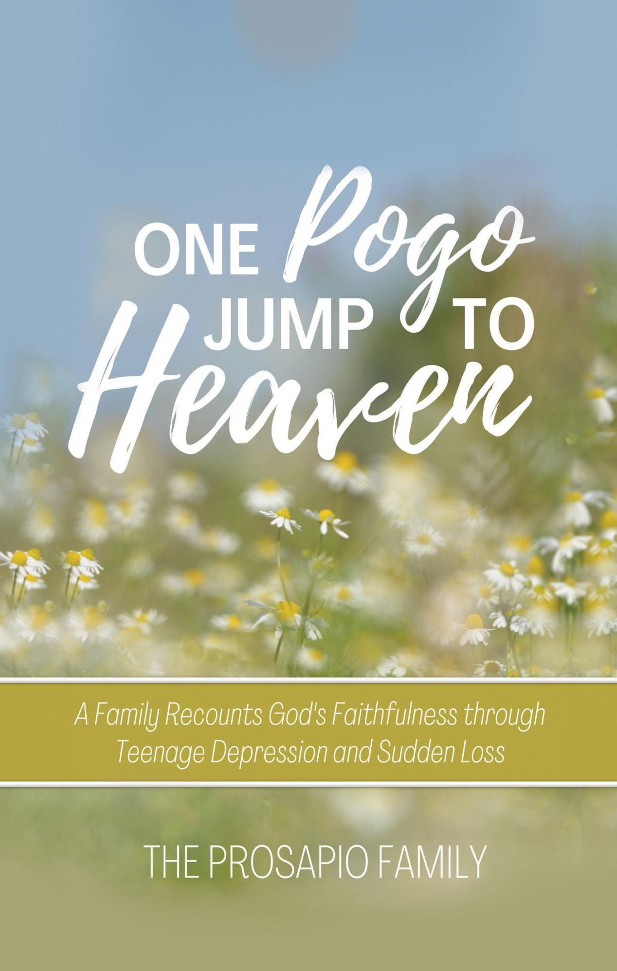 ONE POGO JUMP TO HEAVEN