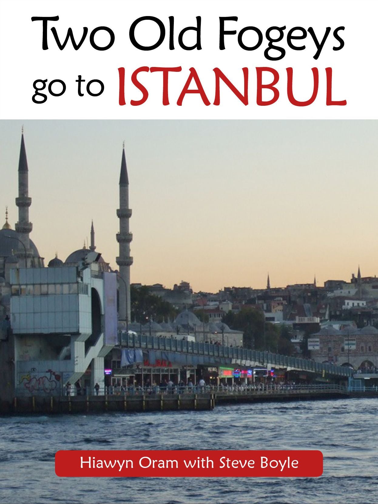 Two Old Fogeys Go To Istanbul