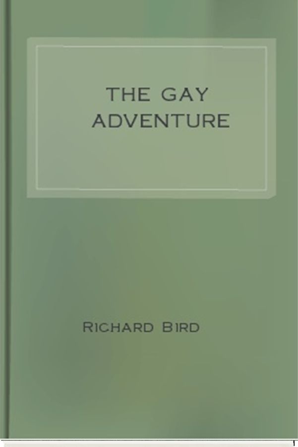 The Gay Adventure