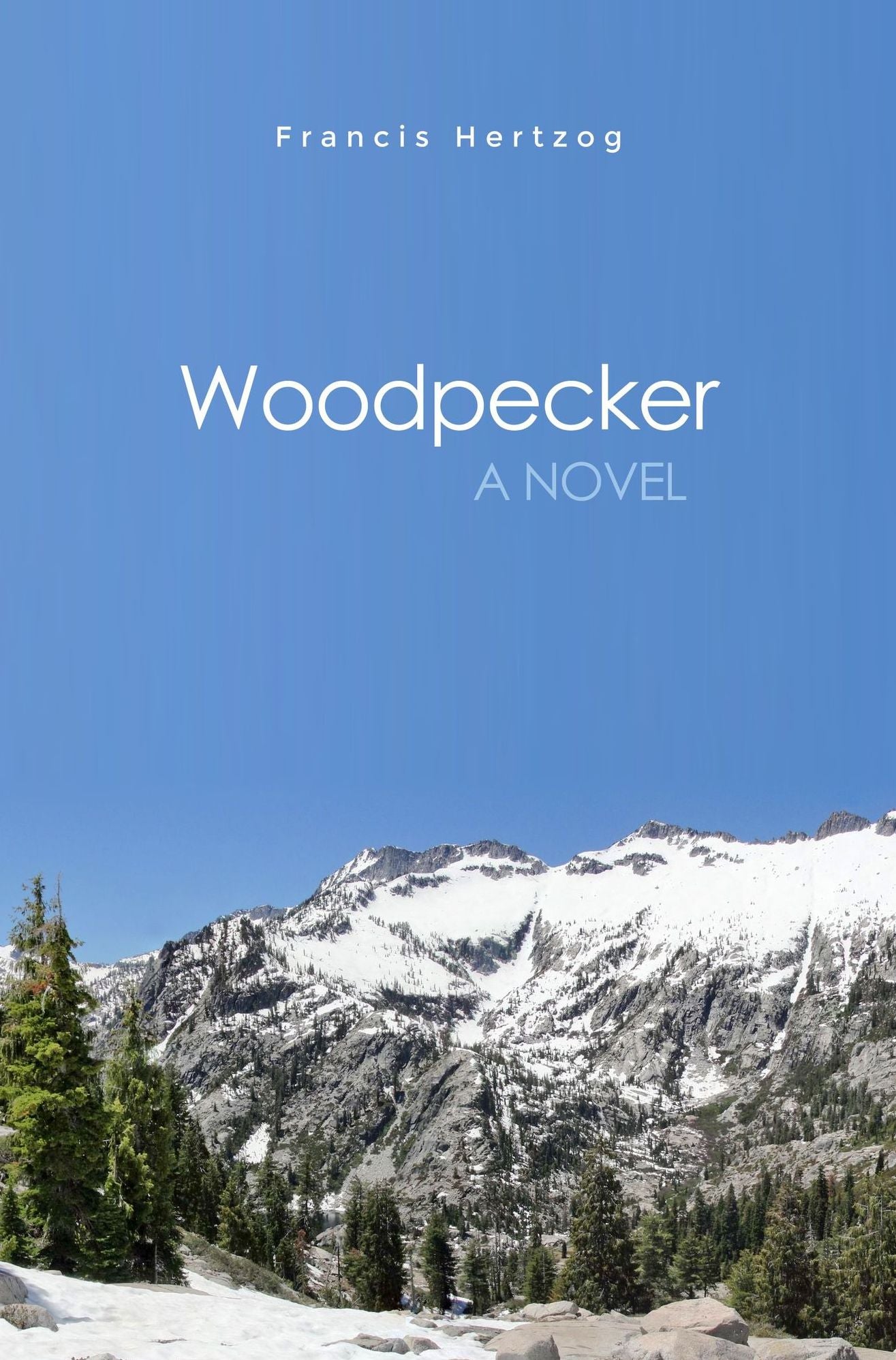 Woodpecker: A Novel