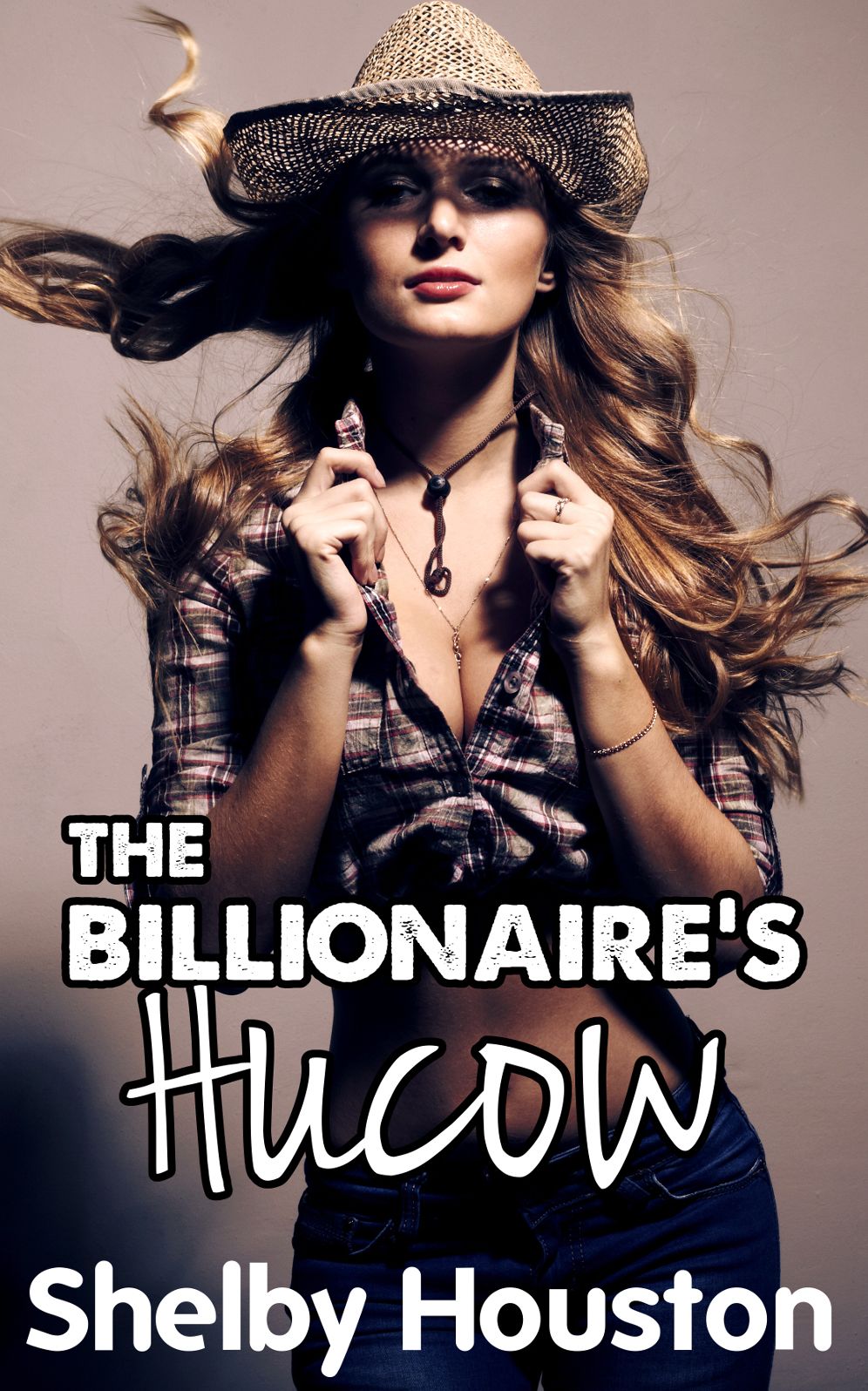 The Billionaire's Hucow