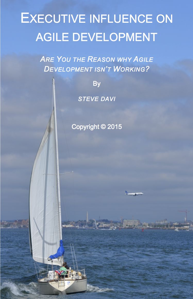Executive Influence on Agile Development