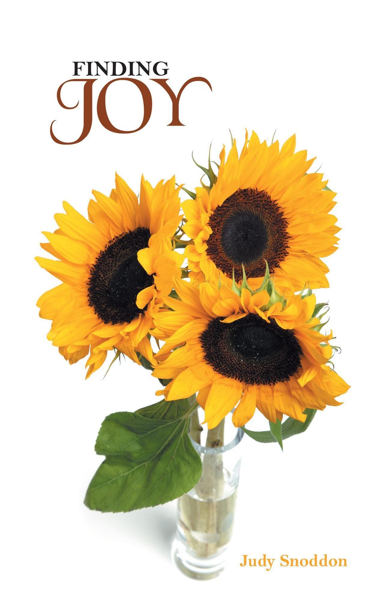 Finding Joy: A Mothers Journey After Losing Two Sons