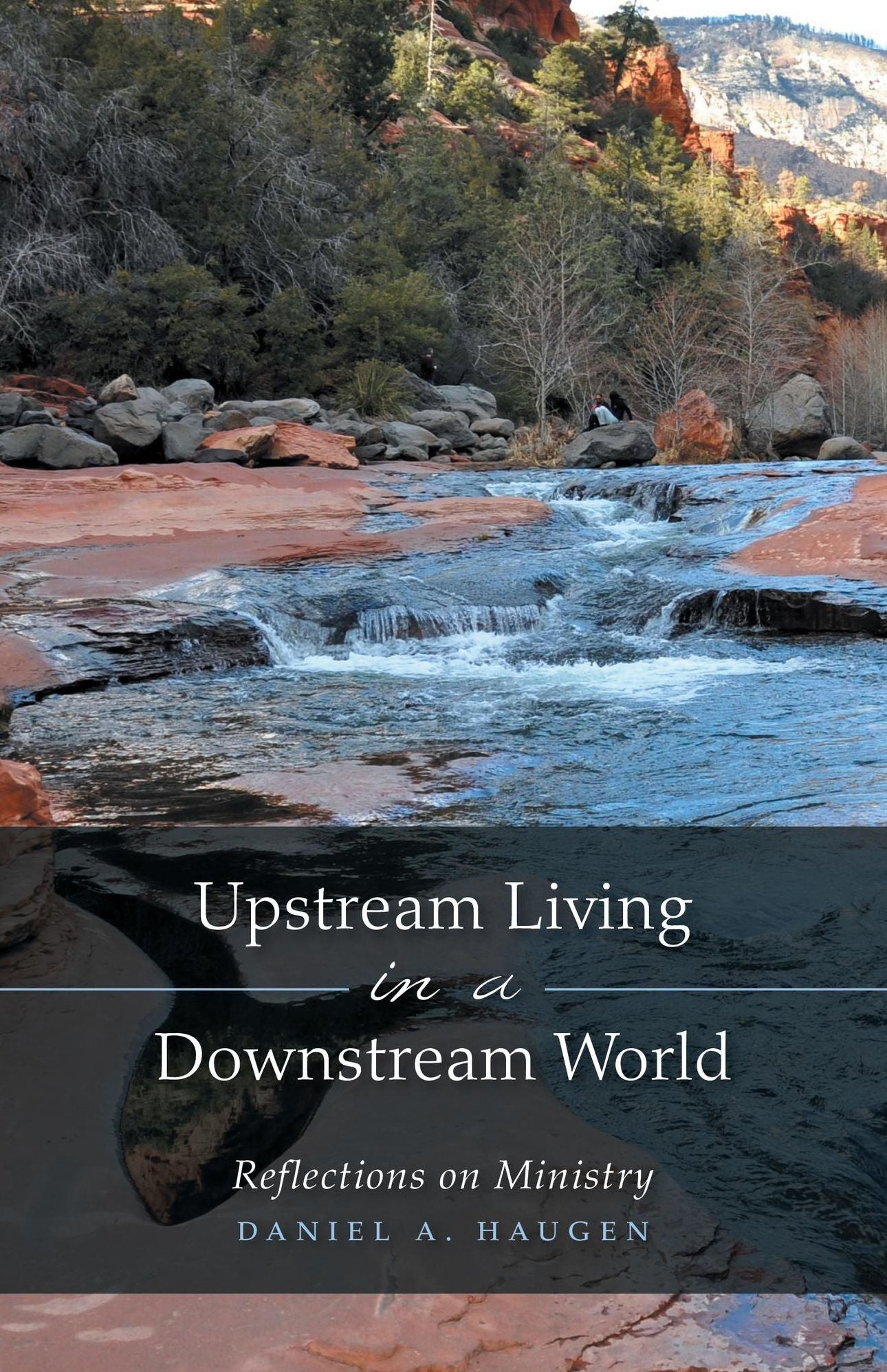 Upstream Living in a Downstream World: Reflections on Ministry