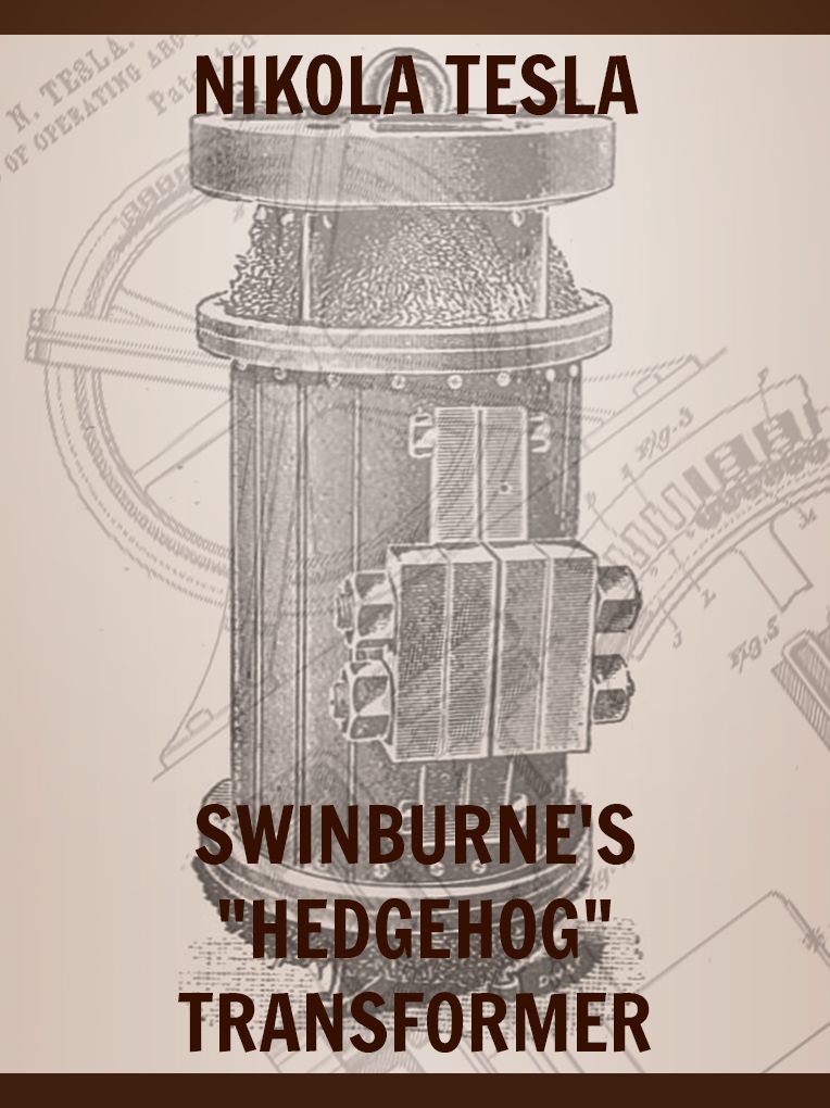 Swinburne's Hedgehog Transformer