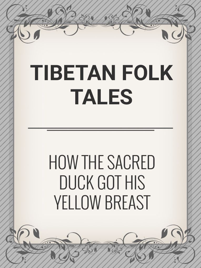 How the Sacred Duck Got His Yellow Breast