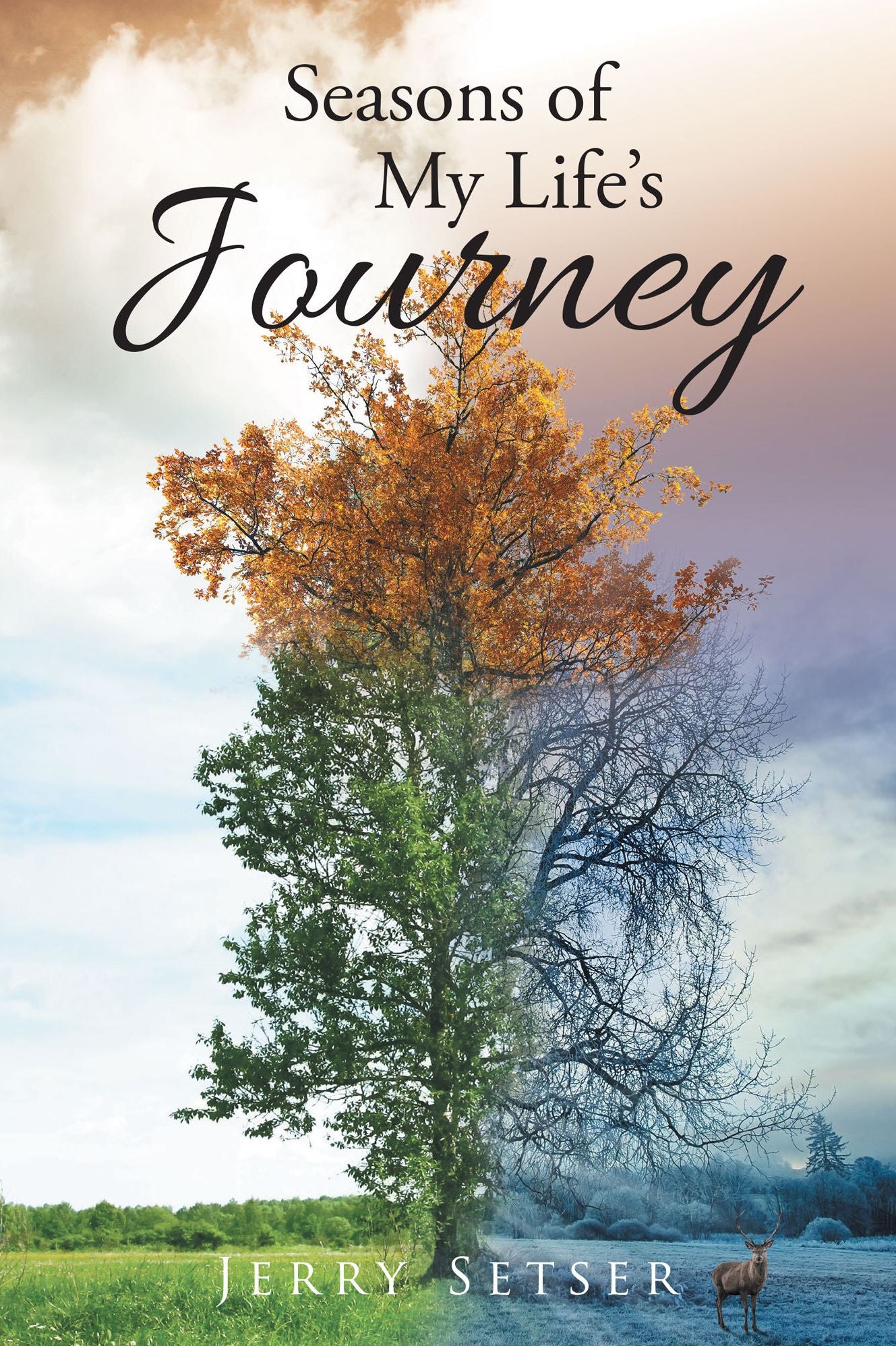 Seasons of My Life's Journey