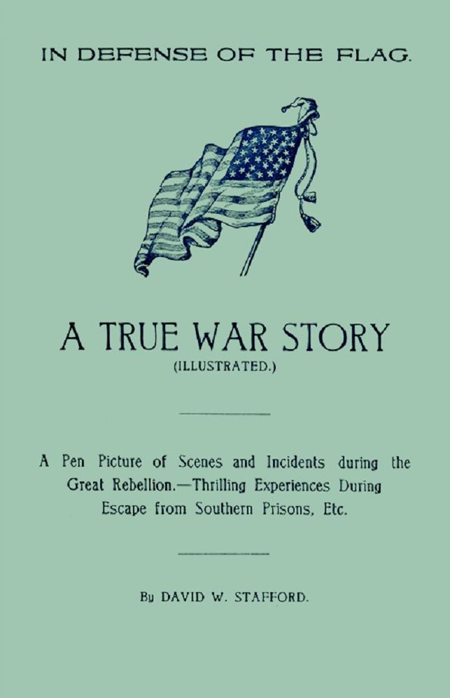 In Defense of the Flag: A True War Story (Illustrated)