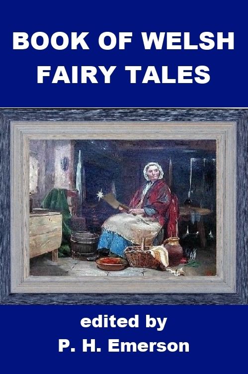 Book of Welsh Fairy Tales