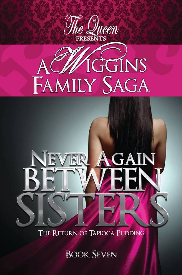 Never Again Between Sisters