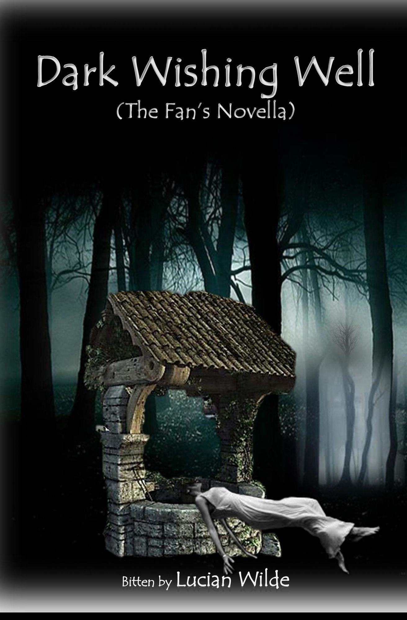 Dark Wishing Well (The Fan's Novella)