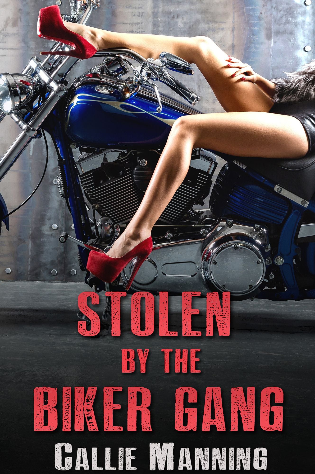 Stolen by the Biker Gang