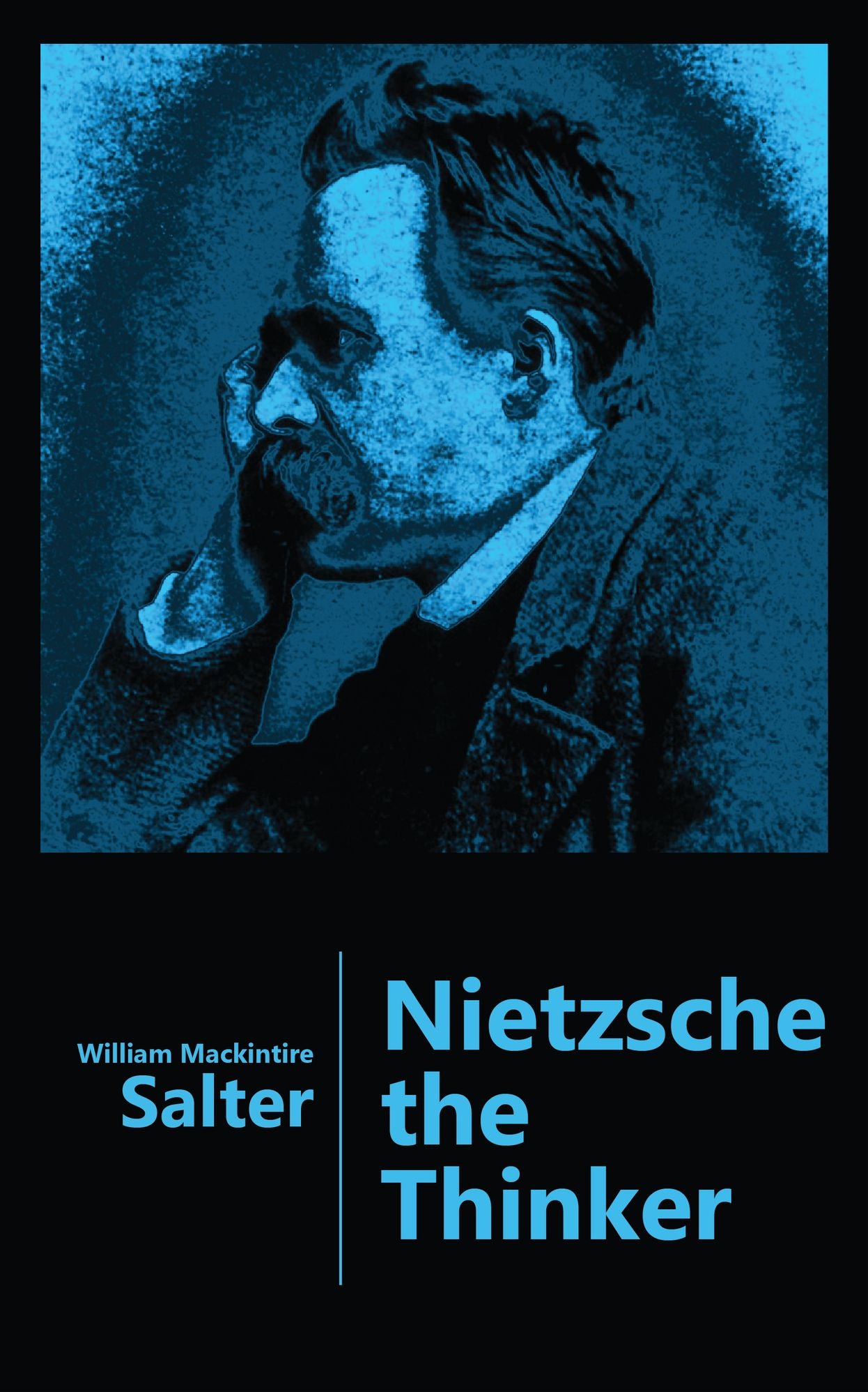 Nietzsche the Thinker