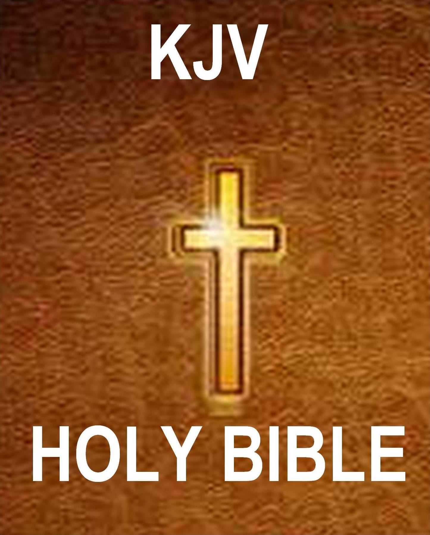 King James Version Holy Bible