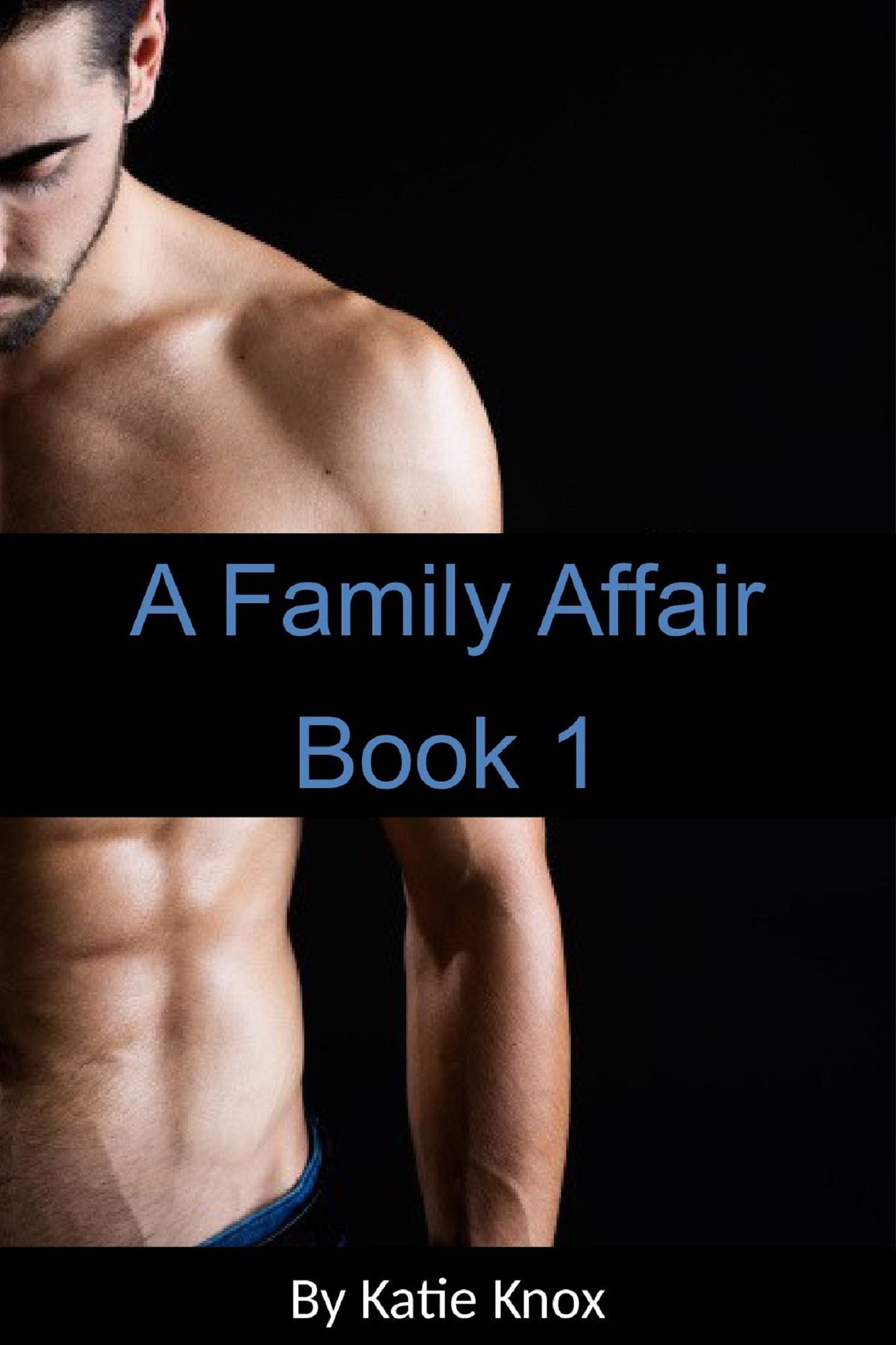 A Family Affair Book 1