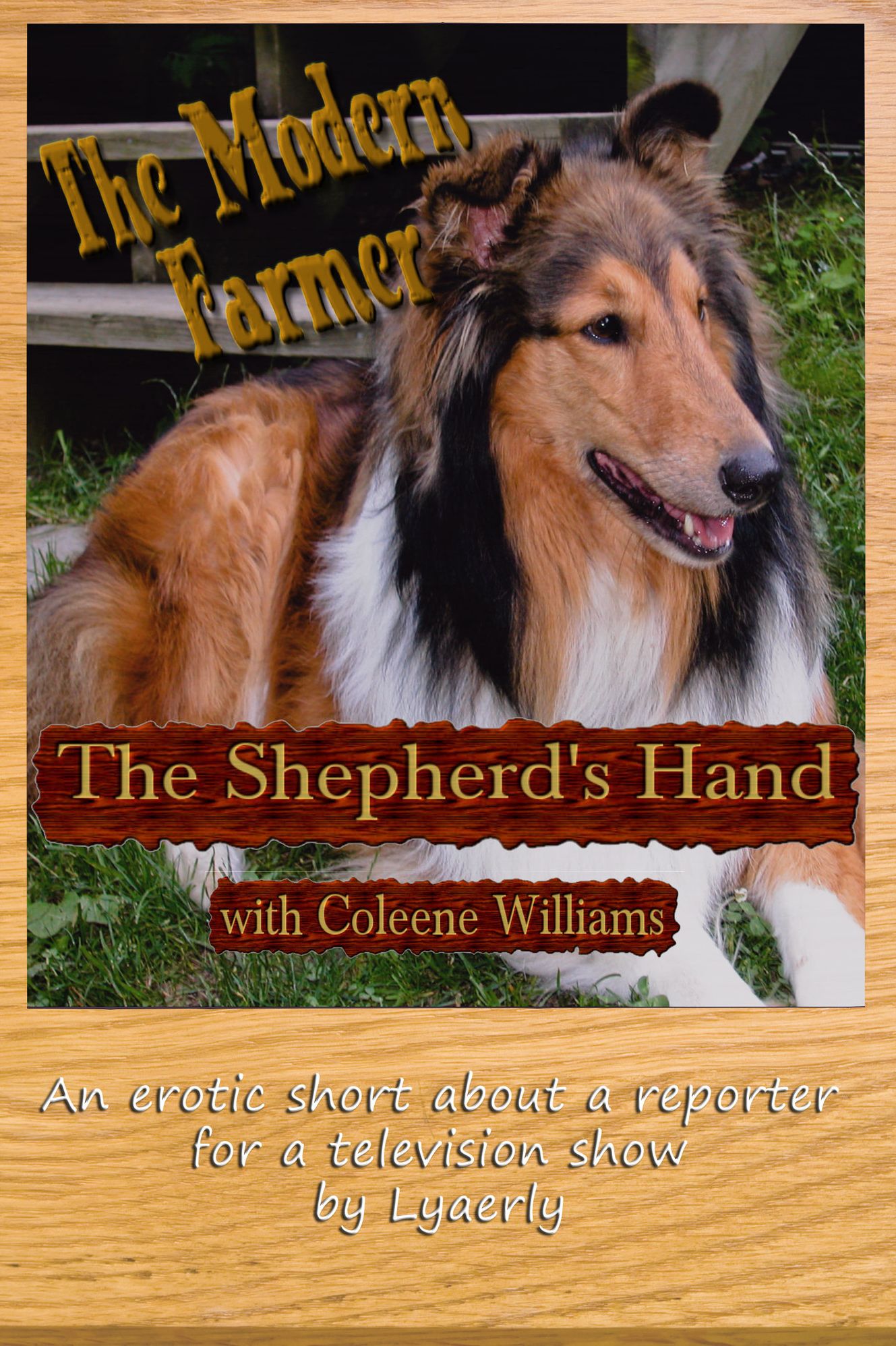The Modern Farmer: The Shepherd's Hand